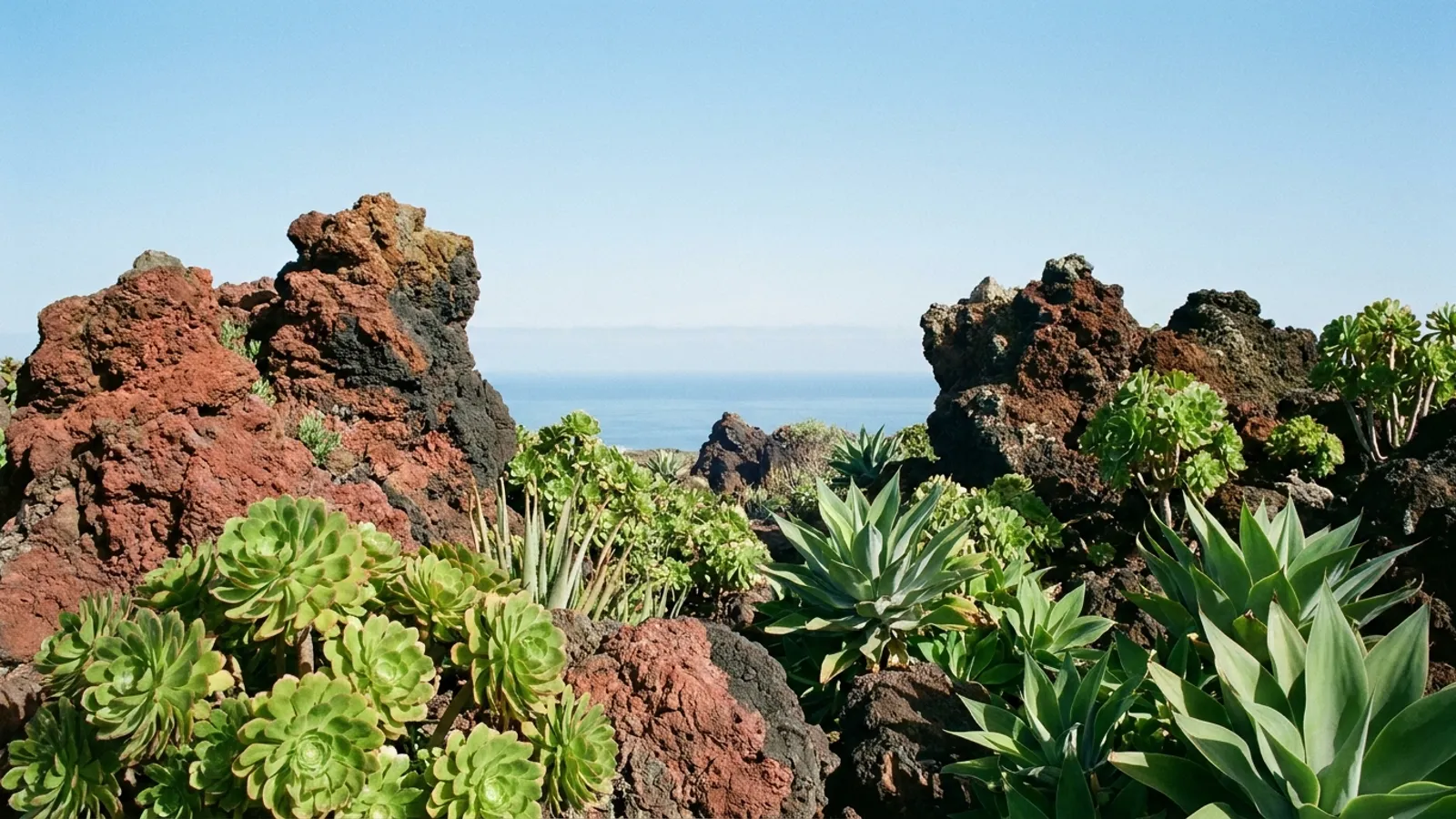 Serene volcanic landscape with lush vegetation and distant ocean view in Tenerife.